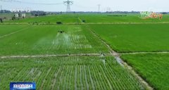 农技护航、聪慧耕田 “三夏”时节各地都正在抢